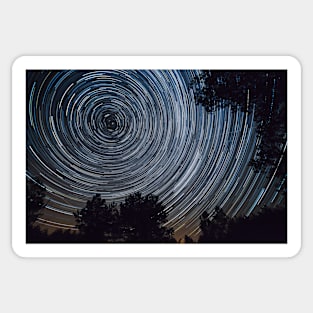 Starry night sky, startrails between trees landscape Sticker